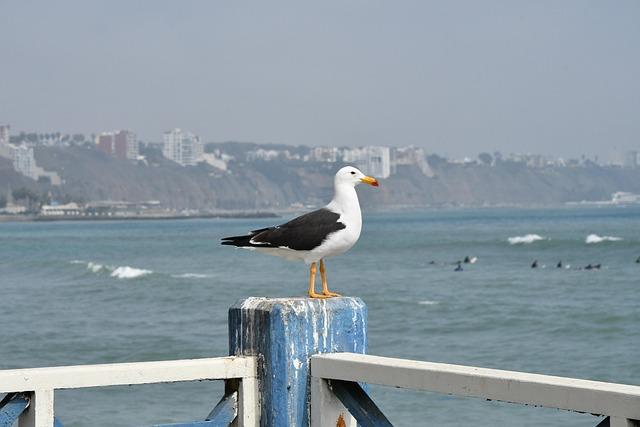 Lima Adventure Awaits: Your Comprehensive Travel Guide to Culture, Cuisine, and Must-See Sights